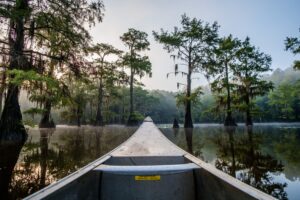 front end of a gray canoe in caddo lake, one of the best east texas state parks